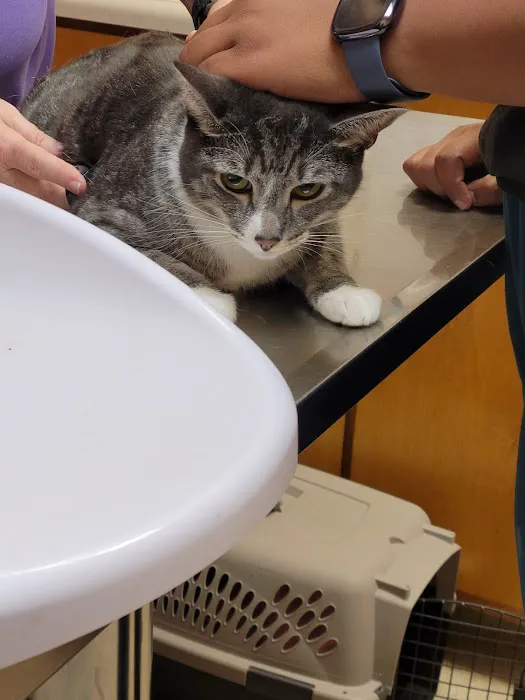 Evans Mill Animal Hospital Picture 8