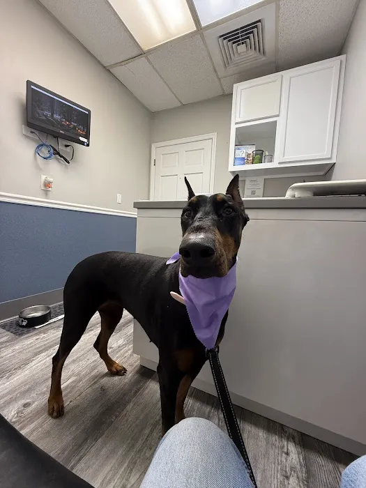 Murrells Inlet Veterinary Hospital Picture 4