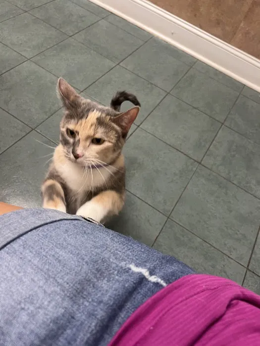 Murrells Inlet Veterinary Hospital Picture 8