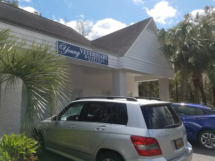 Young Veterinary Hospital Picture 2