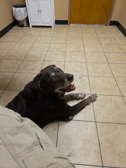 Sandhills Animal Hospital Picture 2
