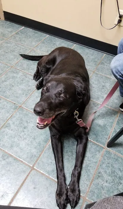 Sandhills Animal Hospital Picture 4