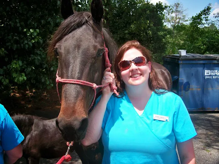 Sandhills Animal Hospital Picture 7