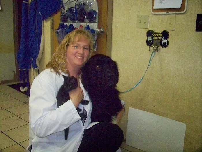 Sandhills Animal Hospital Picture 10