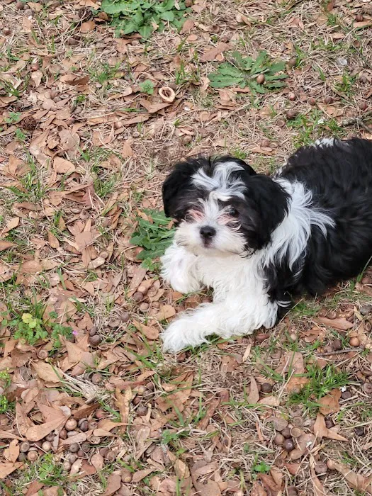 Footloose Veterinary Services, LLC Picture 3