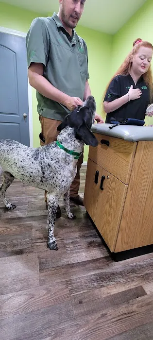 Footloose Veterinary Services, LLC Picture 5