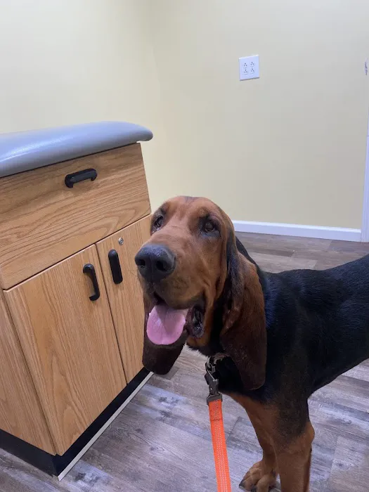 Footloose Veterinary Services, LLC Picture 9