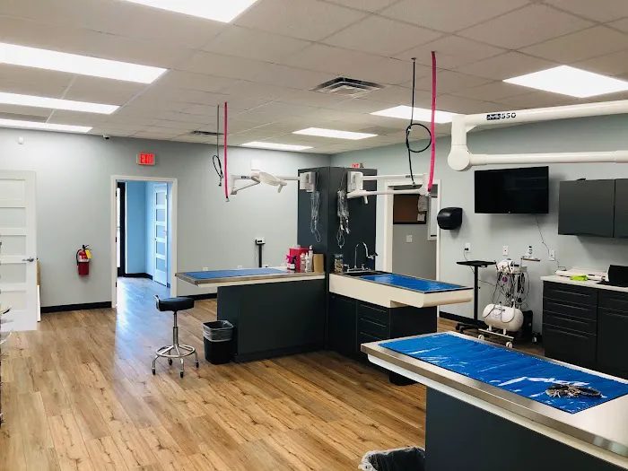 Florence Animal Hospital Picture 1