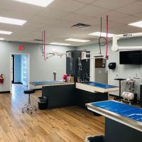 Florence Animal Hospital ico