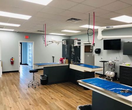 Florence Animal Hospital