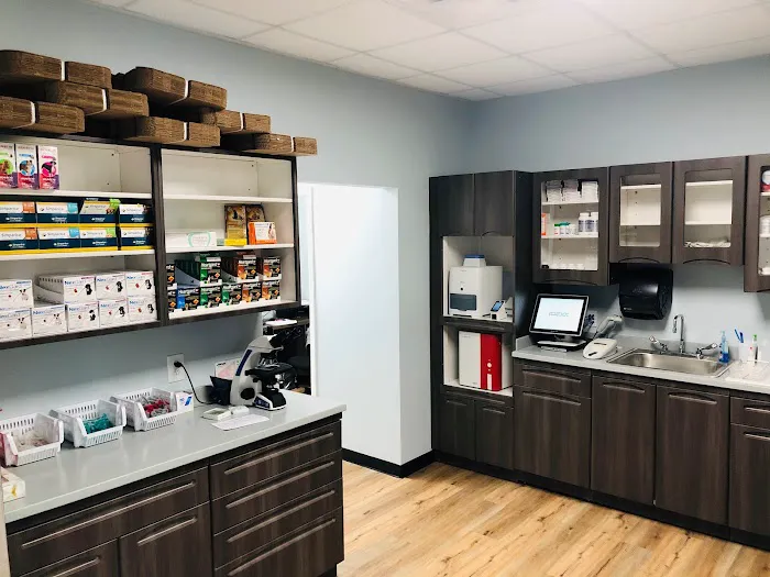 Florence Animal Hospital Picture 7