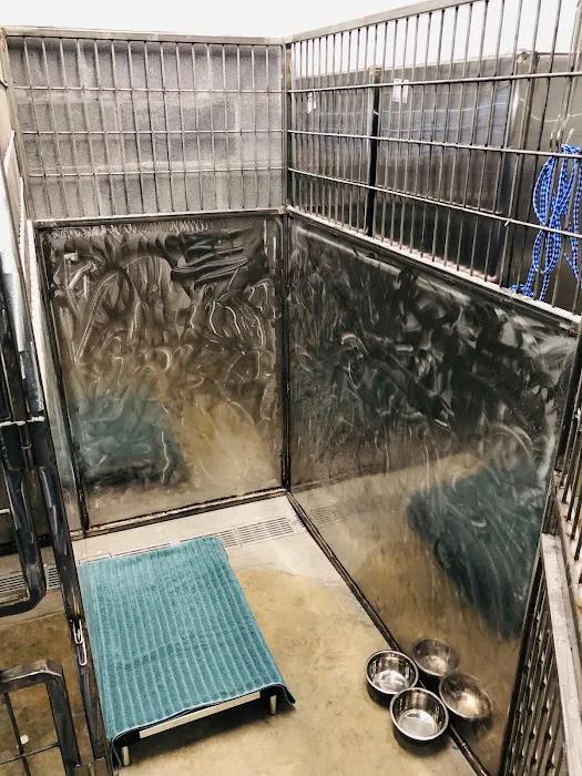 Florence Animal Hospital Picture 9