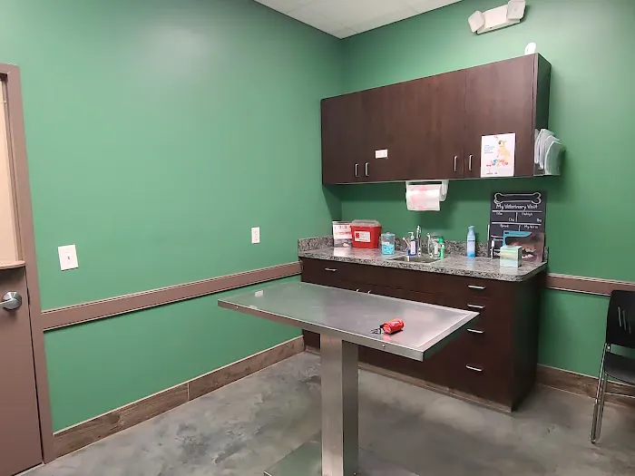 Windsor Animal Hospital Picture 5