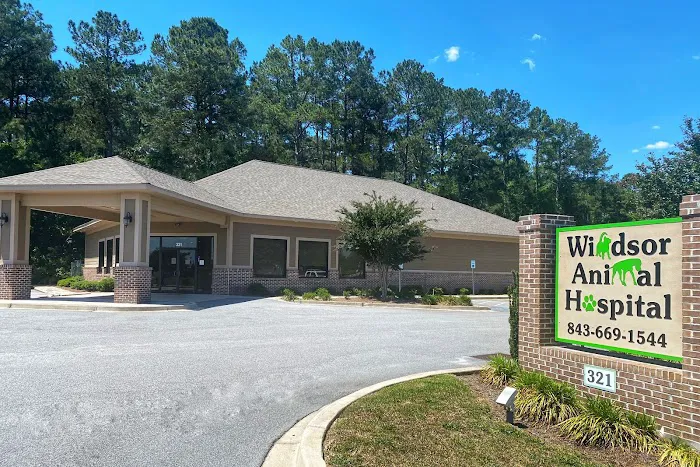 Windsor Animal Hospital Picture 4