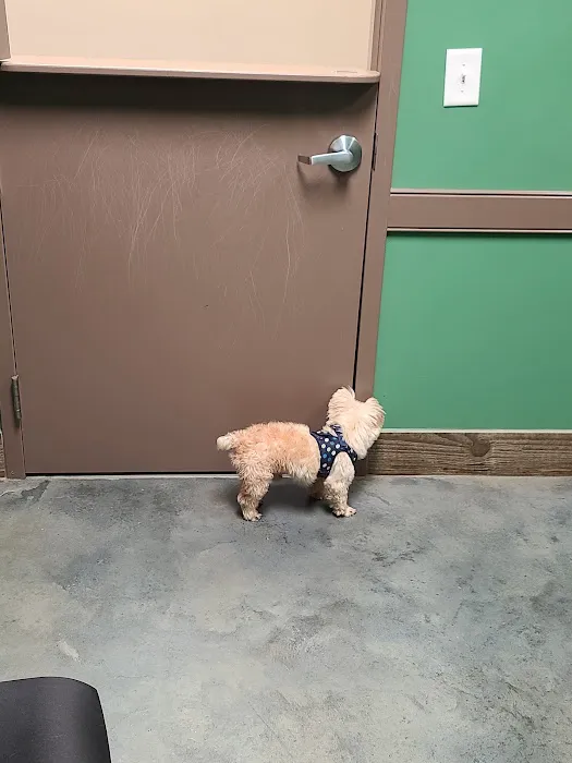 Windsor Animal Hospital Picture 8