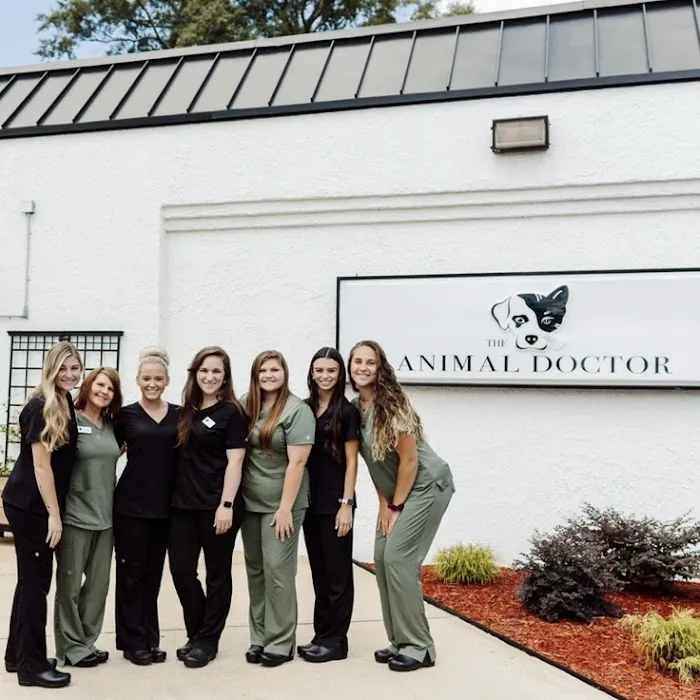 The Animal Doctor Picture 2