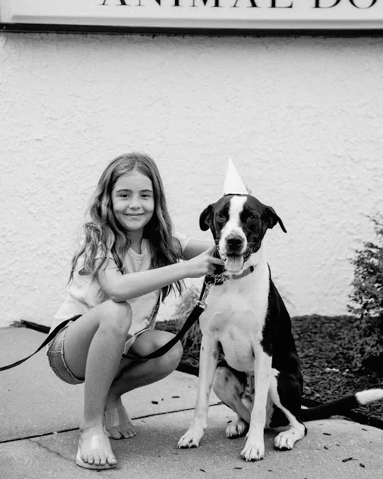 The Animal Doctor Picture 7