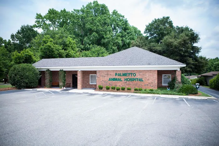 Palmetto Animal Hospital Picture 1