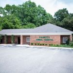 Palmetto Animal Hospital