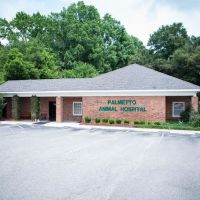 Palmetto Animal Hospital ico