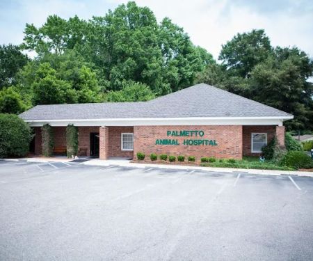 Palmetto Animal Hospital