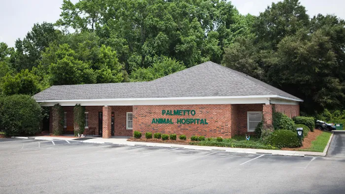 Palmetto Animal Hospital Picture 9