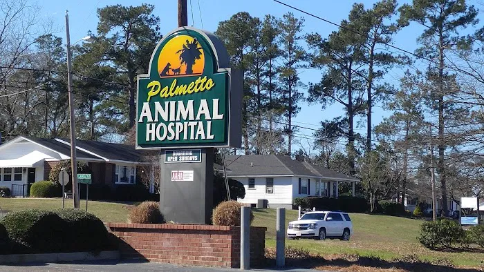 Palmetto Animal Hospital Picture 10