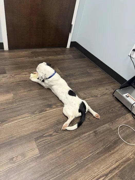 Cashua Veterinary Care Picture 2