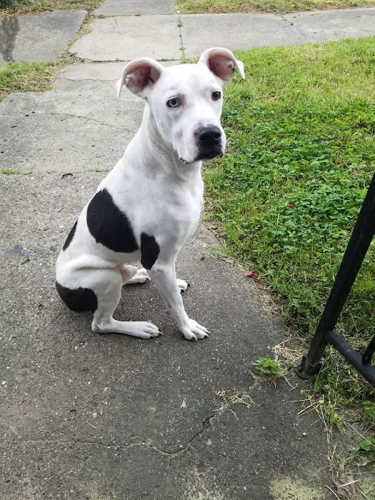 Tri-State Animal ER Picture 1