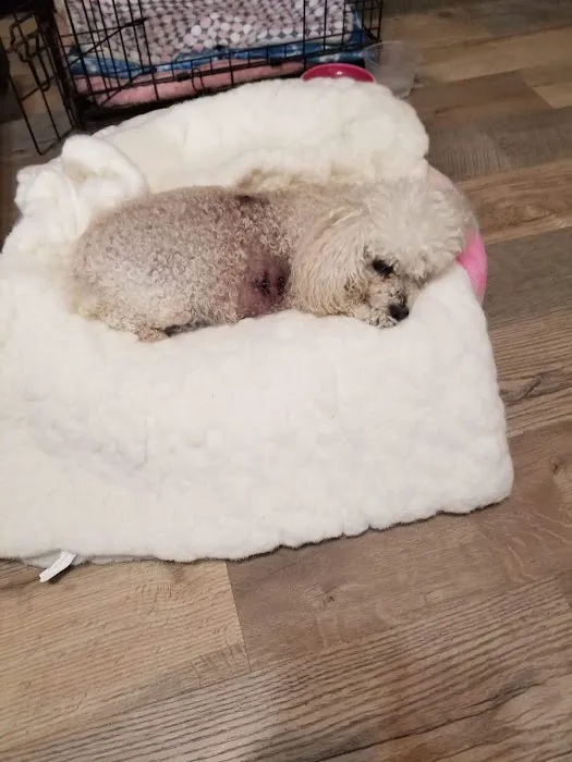 Tri-State Animal ER Picture 4