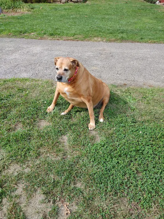 Tri-State Animal ER Picture 9