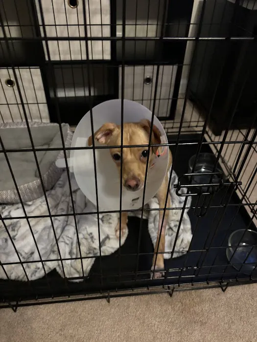 Tri-State Animal ER Picture 8