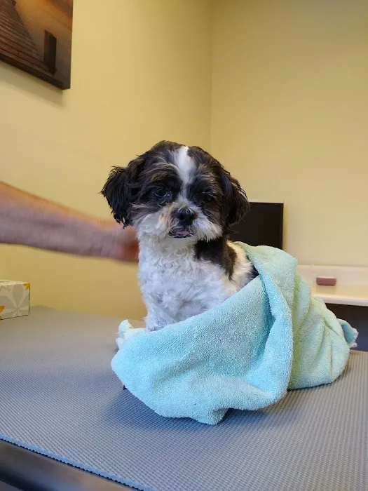 Proctorville Animal Clinic Picture 2