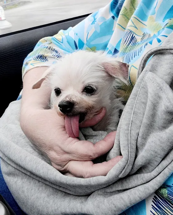 Proctorville Animal Clinic Picture 5