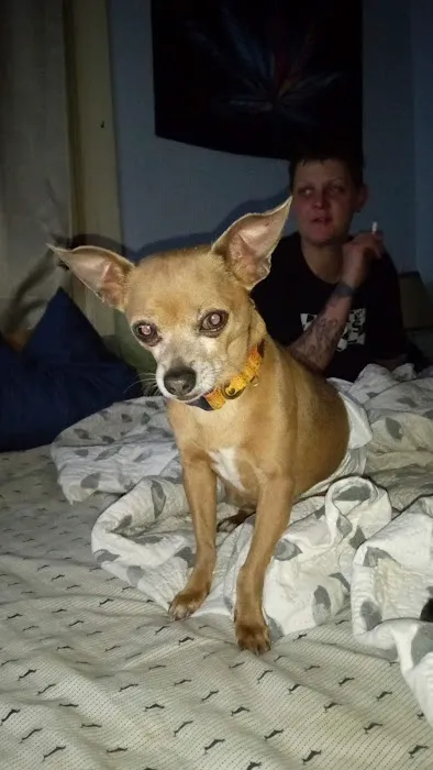 Martin Veterinary Clinic Picture 10