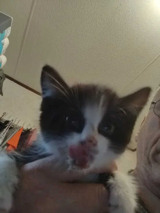 Barboursville Veterinary Clinic Picture 6