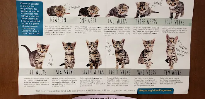 Barboursville Veterinary Clinic Picture 4