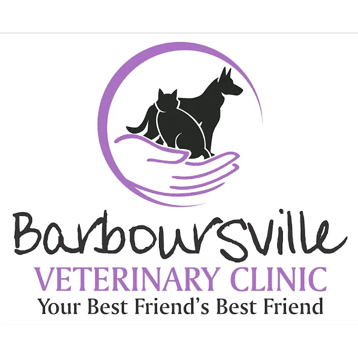 Barboursville Veterinary Clinic Picture 9