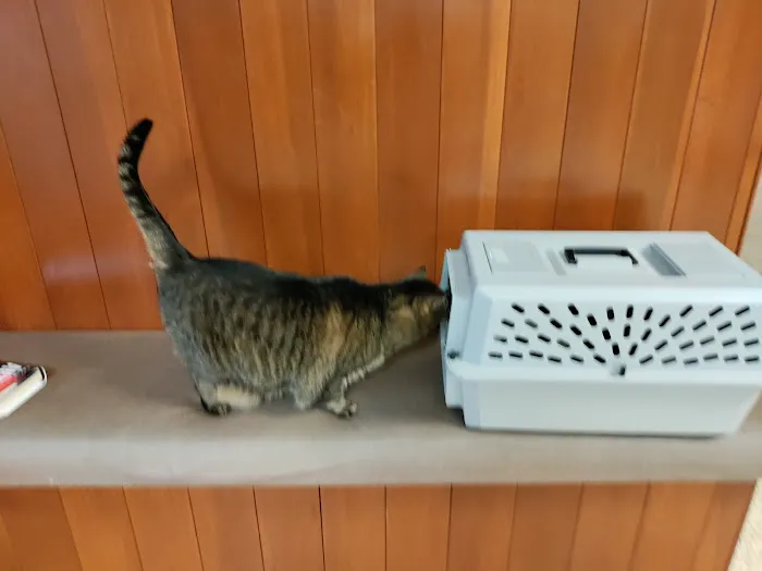 MERRITTS CREEK VETERINARY CENTER Picture 2