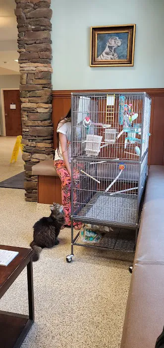 MERRITTS CREEK VETERINARY CENTER Picture 4