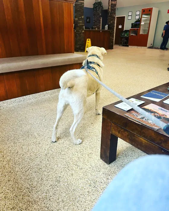MERRITTS CREEK VETERINARY CENTER Picture 10