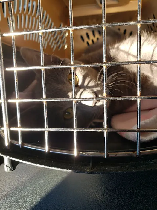 Help For Animals Inc. Picture 2
