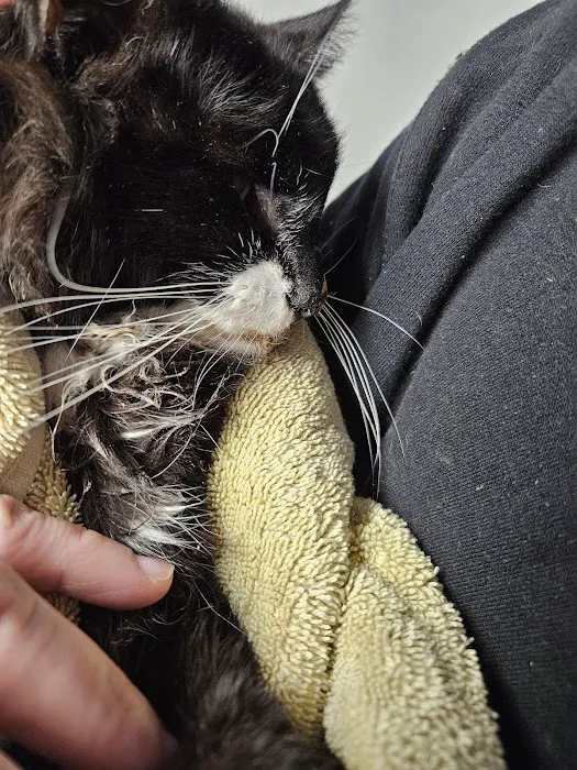 Help For Animals Inc. Picture 6