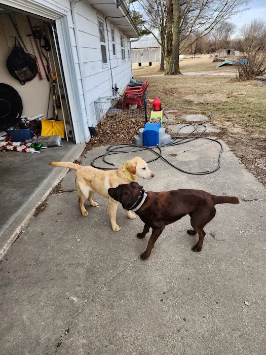 Cass Veterinary Services Picture 10