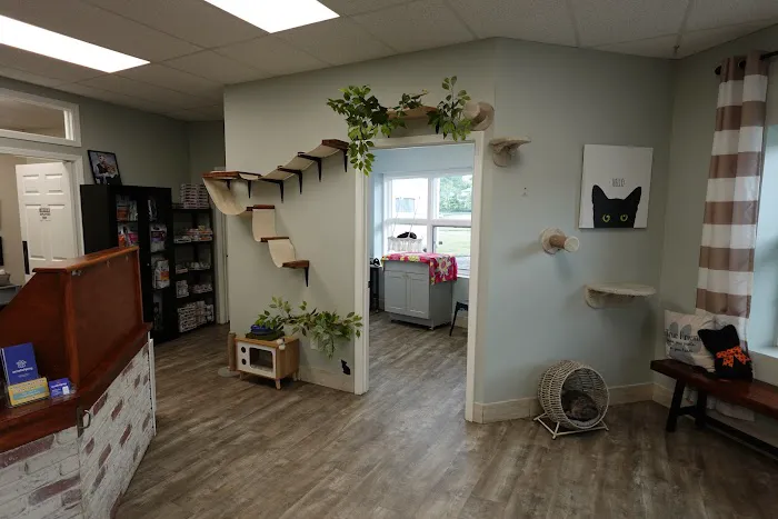 Hometown Veterinary Clinic of Jacksonville Picture 10