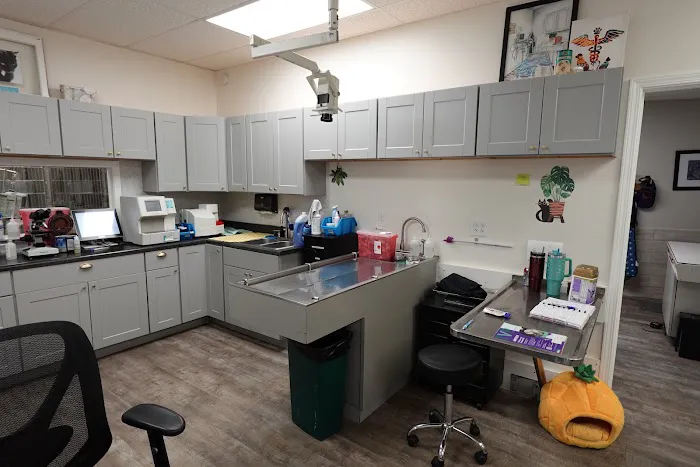 Hometown Veterinary Clinic of Jacksonville Picture 9