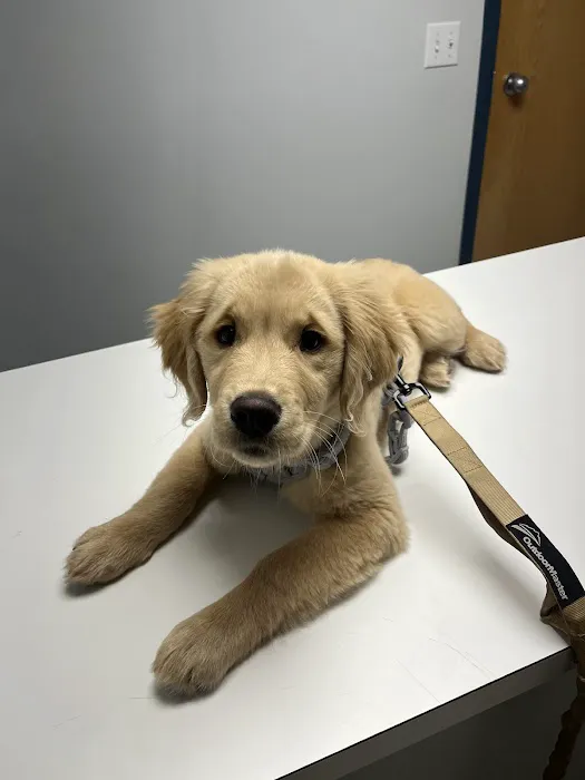 Limestone Companion Animal Hospital Picture 1
