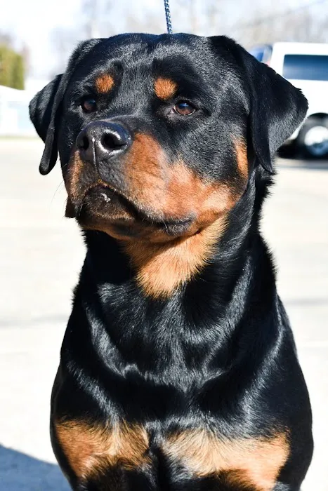 Limestone Companion Animal Hospital Picture 5