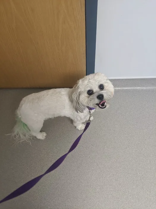 Limestone Companion Animal Hospital Picture 4