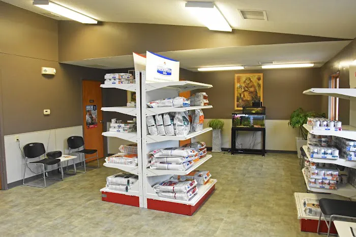 Ambassador Animal Hospital Picture 4